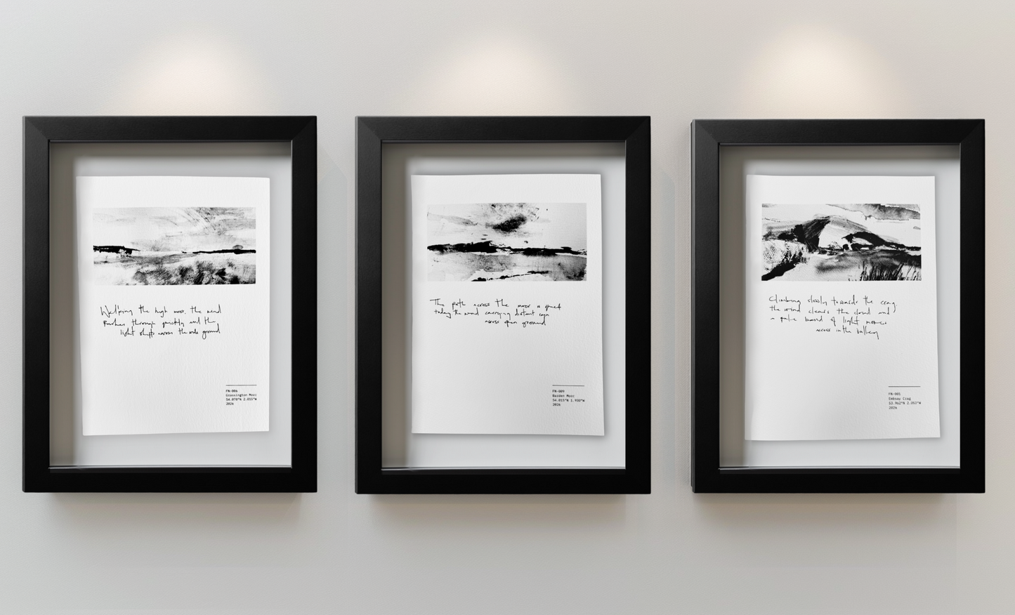 Field Note - Barden Moor 009